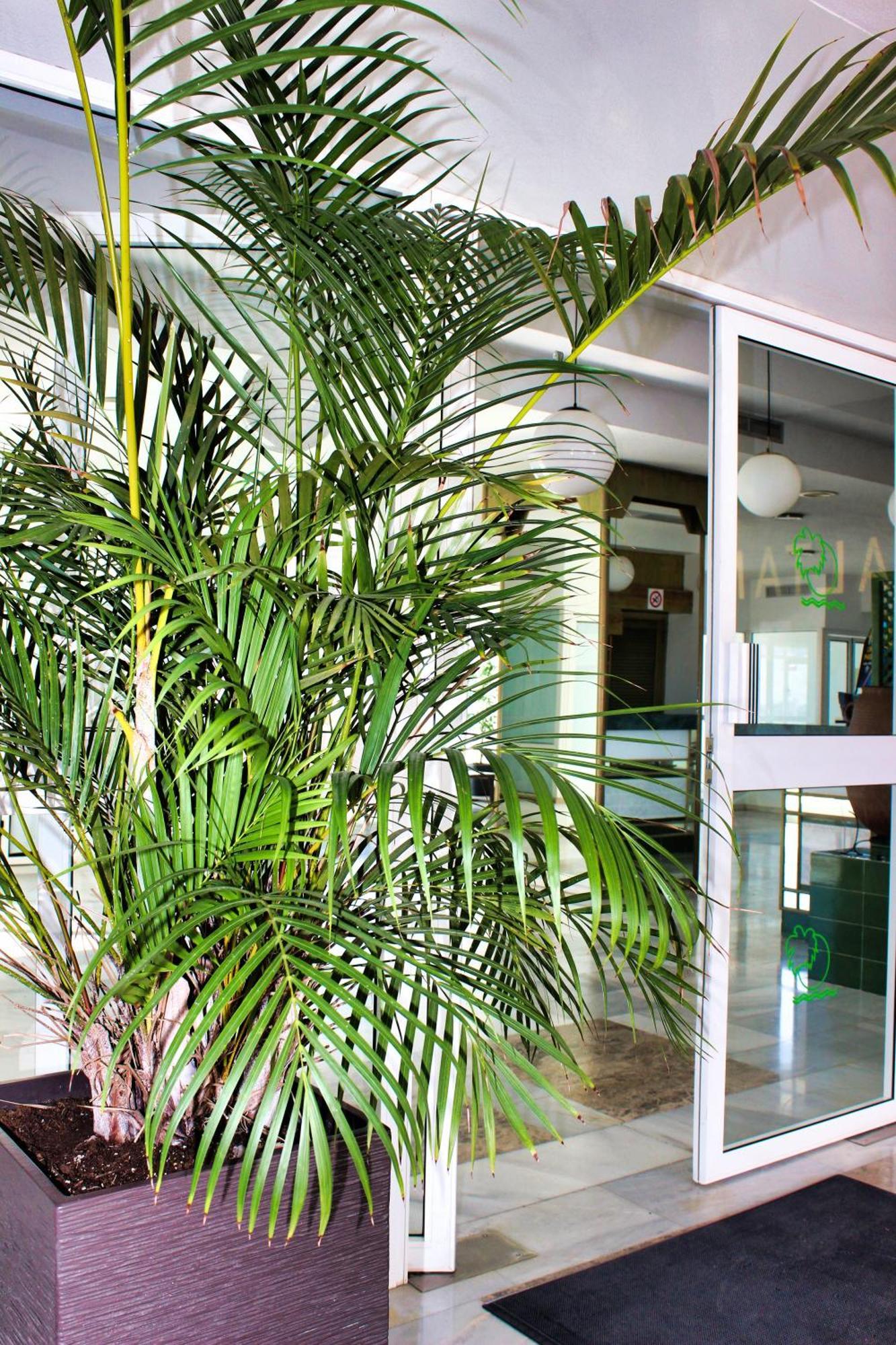 Altamira Sunset Apartment Costa Adeje  Ngoại thất bức ảnh
